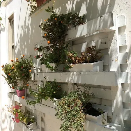 Il Cancelletto Mesagne